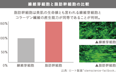 線維芽細胞と脂肪幹細胞の比較: 脂肪幹細胞は美肌の生命線とも言われる線維芽細胞とコラーゲン繊維の産生能力が同等であることが判明。 出典：ロート製薬「stemscience-factbook」