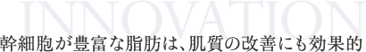 幹細胞が豊富な脂肪は、肌質の改善にも効果的