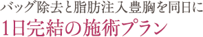 バッグ除去と脂肪注入豊胸を同日に 1日完結の施術プラン