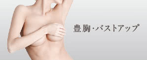 豊胸・バストアップ