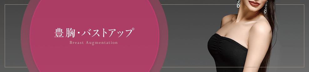 豊胸・バストアップ