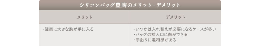 シリコンバッグ豊胸の特徴